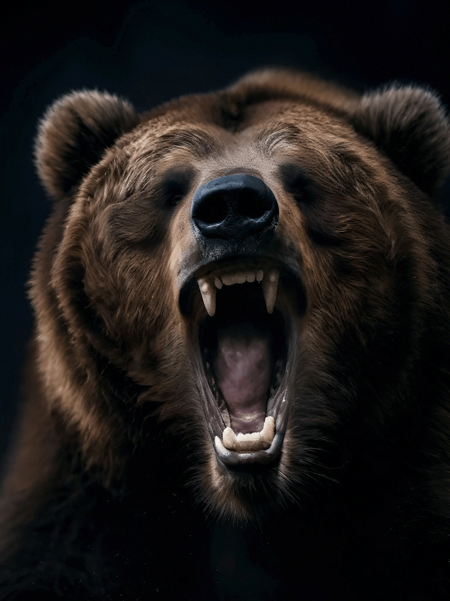 Bold Brown Bear Art 1 Brown-Bear-PR-3