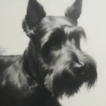 Scottish Terrier LD 2